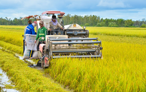  Đầu tư phát triển tác động đến chuyển dịch cơ cấu kinh tế